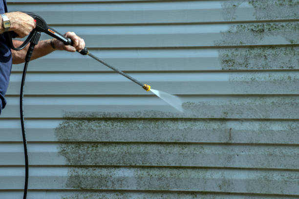 Best Roof Washing  in Calcutta, OH